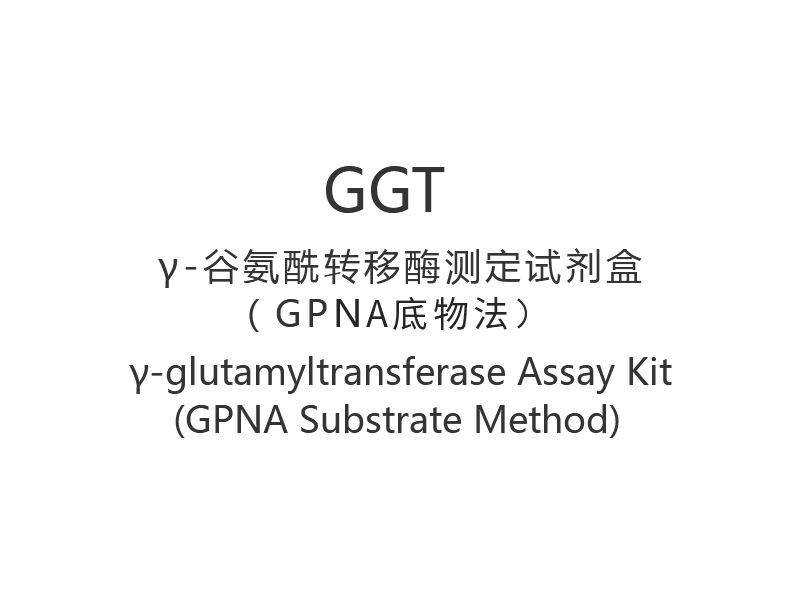 【GGT】γ-글루타밀전이효소 분석 키트(GPNA 기질법)