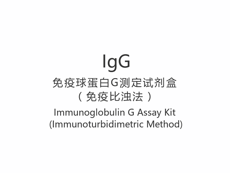 【IgG】면역글로불린 G 분석 키트(면역비탁법)