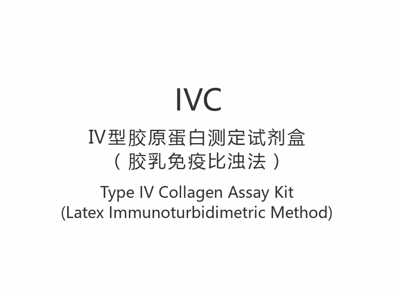 【IVC】Type IV 콜라겐 분석 키트(Latex Immunoturbidimetric Method)