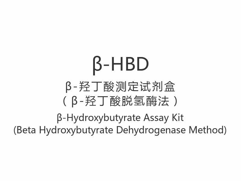 【β-HBD】β-하이드록시부티레이트 분석 키트(베타하이드록시부티레이트 탈수소효소법)