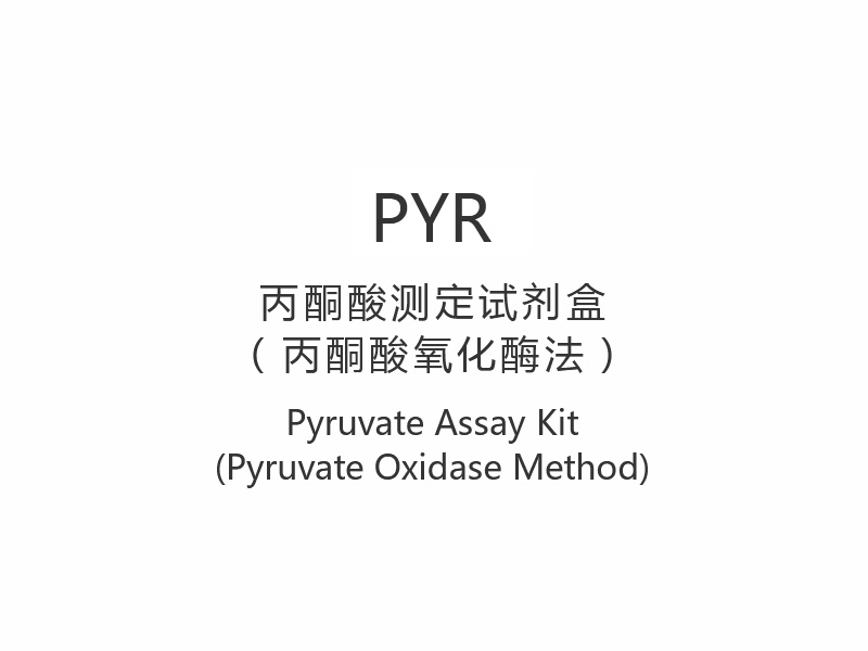 【PYR】피루브산 분석 키트(피루브산 산화효소법)